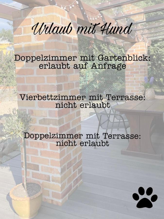 Ferienwohnungen Weise Im Lausitzer-Seenland Grossraschen Εξωτερικό φωτογραφία